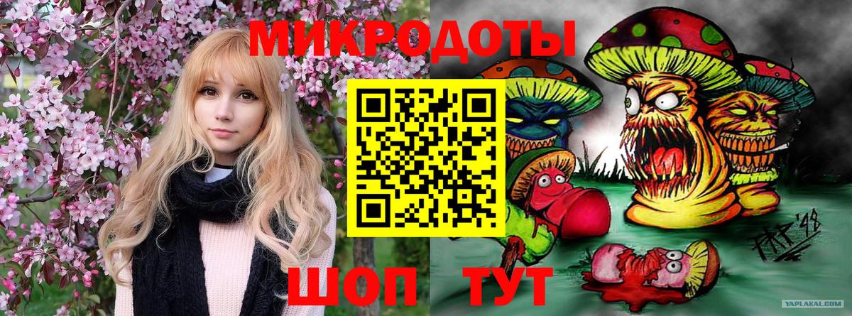 Галлюциногенные грибы Magic Shrooms  Вход с VPN  Черкесск  Галлюциногенные грибы Psilocybe 